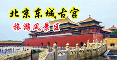 黑丝被我操小穴中国北京-东城古宫旅游风景区